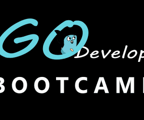 [Golang Dojo] Go Developer: Bootcamp